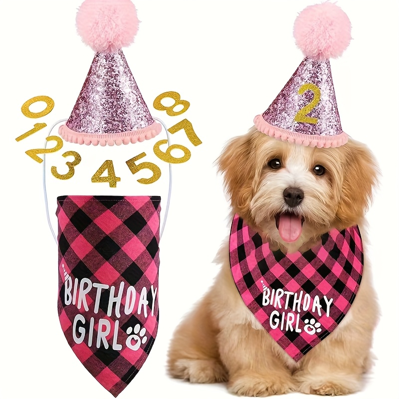 Set per il compleanno del cane, comprensivo di sciarpa e cappellino._voghion.com
