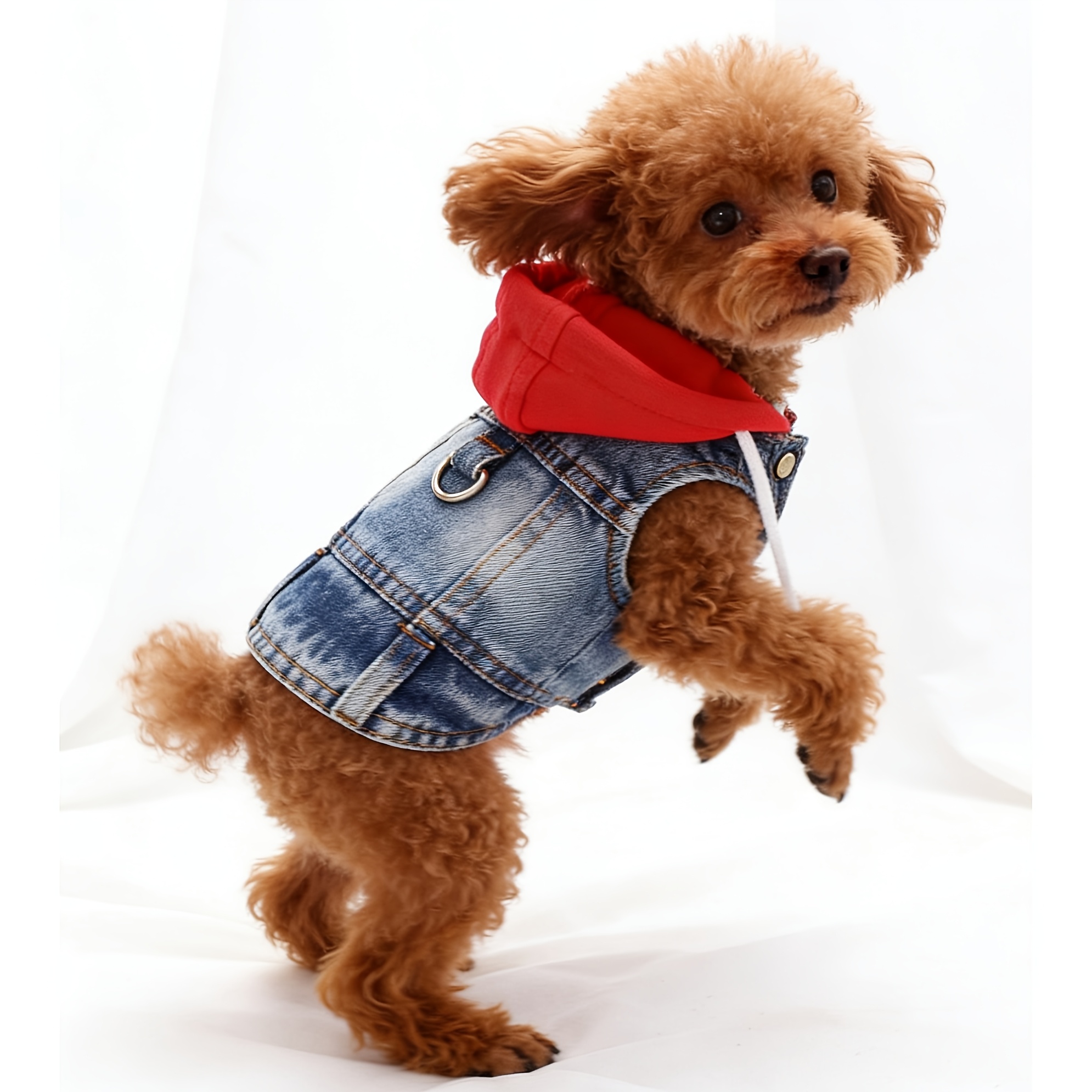 1pc New Trendy Brand Hooded Harness Vest Imitation Faux Denim Spring/Autumn Outfit For Small Dogs, Suitable For Bichon, Teddy, Pet Dogs And Cats_voghion.com