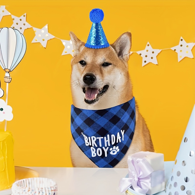 Set per il compleanno del cane, comprensivo di sciarpa e cappellino._voghion.com