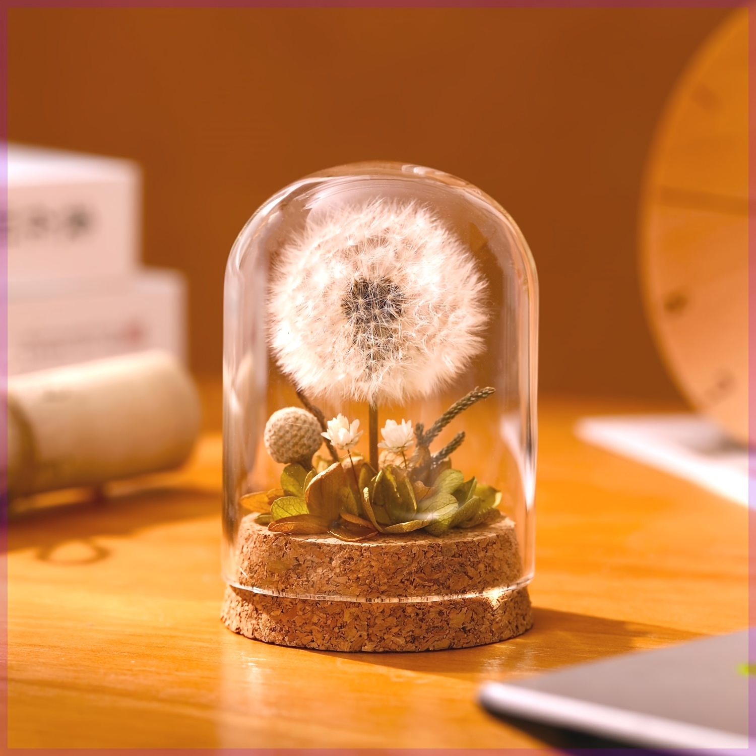 1pc Glass Dome Dandelion Plant Display - Realistic Artificial Flower Arrangement With Cork Base, Perfect For Home Decor_voghion.com