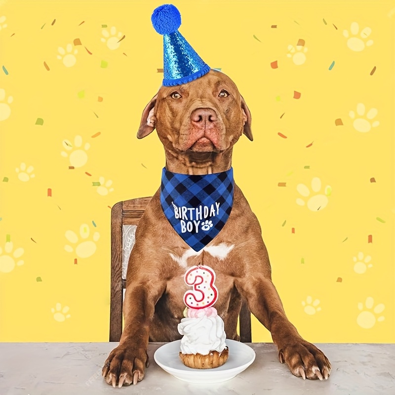 Set per il compleanno del cane, comprensivo di sciarpa e cappellino._voghion.com