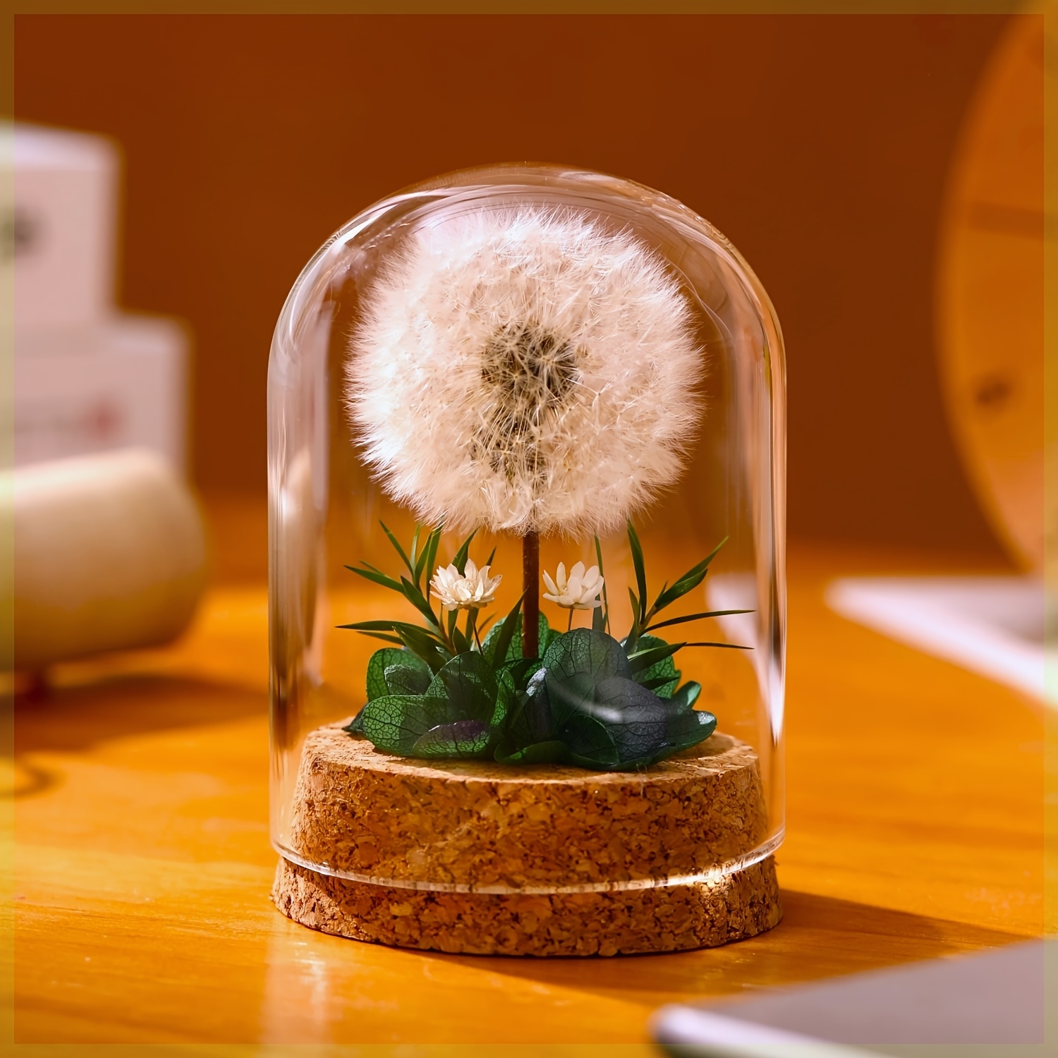 1pc Glass Dome Dandelion Plant Display - Realistic Artificial Flower Arrangement With Cork Base, Perfect For Home Decor_voghion.com