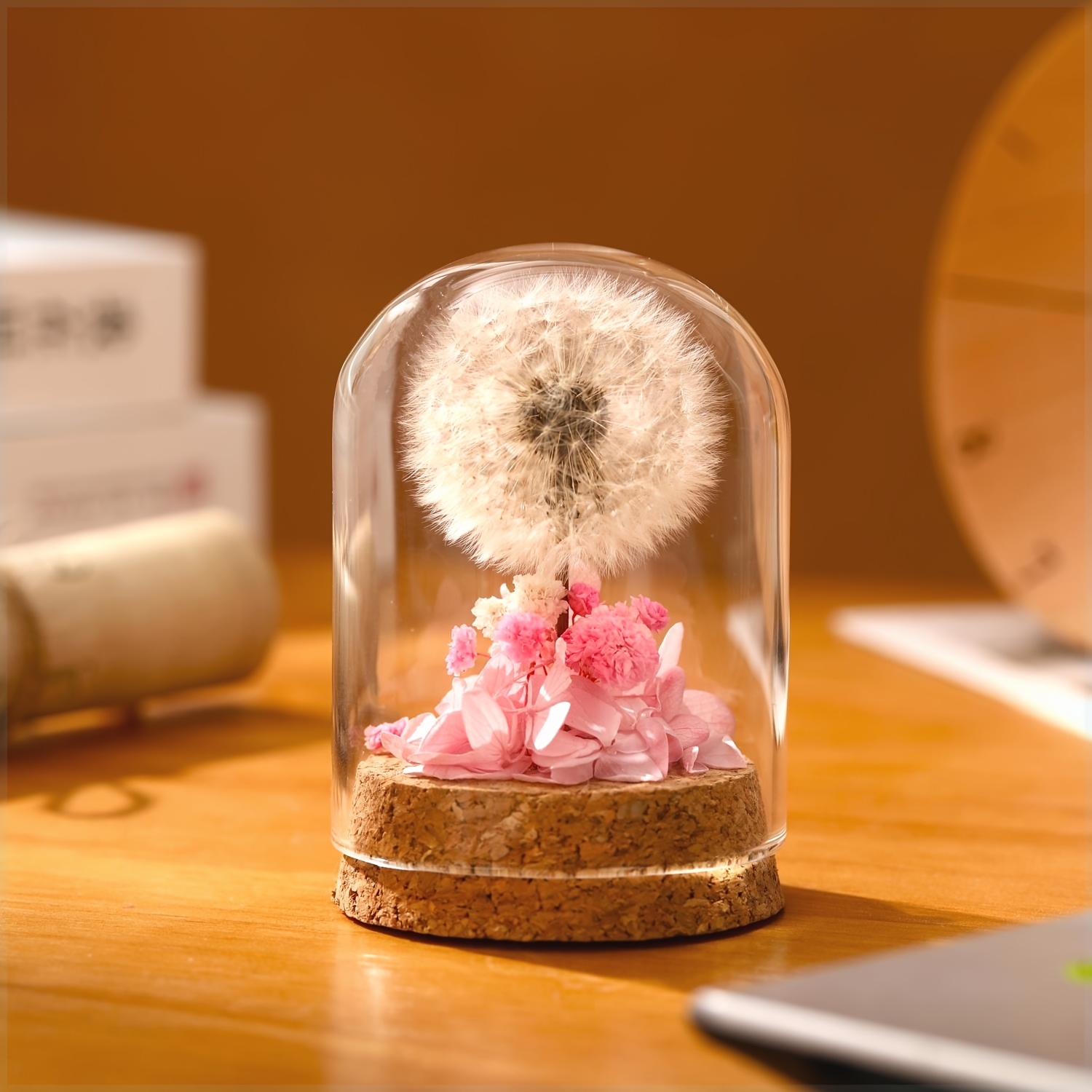 1pc Glass Dome Dandelion Plant Display - Realistic Artificial Flower Arrangement With Cork Base, Perfect For Home Decor_voghion.com