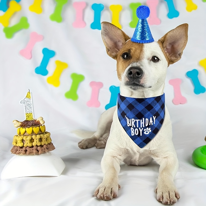Set per il compleanno del cane, comprensivo di sciarpa e cappellino._voghion.com